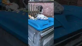 What causes rats? #ratcontrol #pestcontrol
