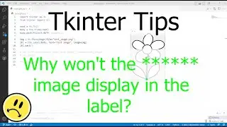 Tkinter Tips: Why isn't the label showing the image anymore????