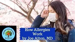 How do Allergies and Allergic Reactions Work?