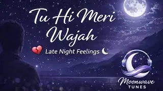 Tu Hi Meri Wajah 🌙 | Heart Touching Hindi Song | Moonwave Tunes