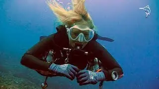 I AM DIVER Blue Marlin Dive Gili Trawangan