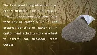 Castor Cake Oiled Meal