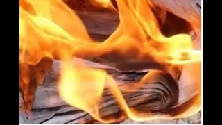 Real Estate Video: The Hot List