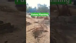 future planning future bright life ideas