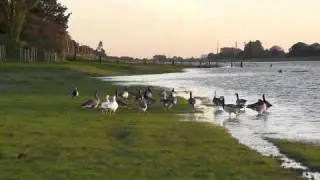 Sutton Bridge - River Nene, Crosskeys Bridge, Sutton Bridge Docks, Sir Peter Scott Lighthouse.