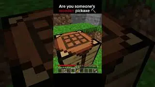 Are you also someone's wooden pickaxe? #minecraft #minecraftshorts #minecraftlife #minecraftstory