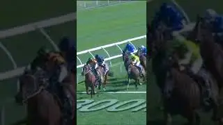 Horse racing #short #NATURE STRIP #THE EVEREST #ridden by jockey James McDonald