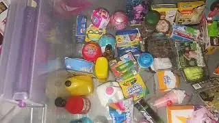 All of my Mini Brands Collection (2021-2024)
