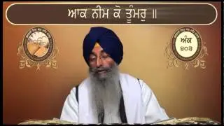 Ank 396 To 412 Shri Guru Granth Sahib Santhia Path By Giani Jagtar Singh Jachak