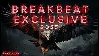 BREAKBEAT EXCLUSIVE TERBARU 2025 #breakbeatvip #breakbeat_mixtape #goldencrown