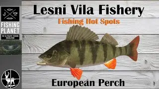 How to Catch European Perch | Lesni Vila Fishery | Fishing Planet Hot Spots
