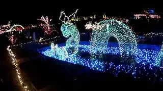 Brookside Gardens Festival of Lights 2011 Dragon! GOPR8266 GoPro HD Hero 2