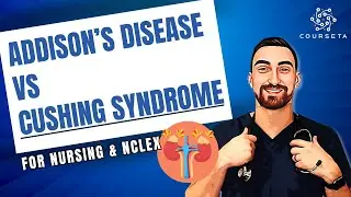 Addison's Disease vs Cushing's Syndrome | Nursing NCLEX | Intulect Nursing