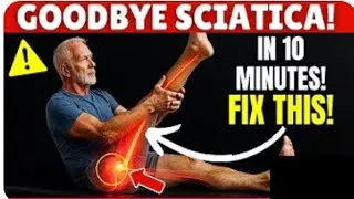 Goodbye Sciatica Pain in 10 Minutes | Fast Relief Exercises for Seniors
