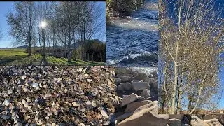 حكاية نهر لا تنتهي 💧🌴