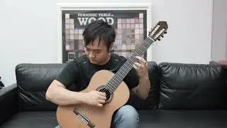Francisco T&aacute;rrega - Estudio in E Minor (Steven Law)