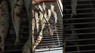 Charcoal Grilled Fish #grilledfish #fish #shorts