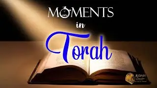 TORAH PORTION LECH LECHA (Go forth) - Genesis 12:1 - 17:27