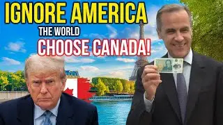 Countries choose Canada after Trump tariffs, US jobs and manufacturing collapse | the wise traveler