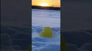 ❄️YELLOVE💛 #winter #snow #shortsfeed #satisfying #nature #shortsvideo #asmr #2024 #shorts