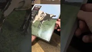 How To Hold A Vinyl Record