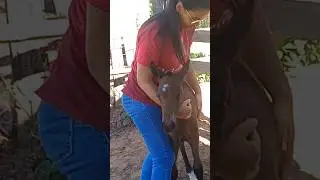minha &eacute;gua pariu