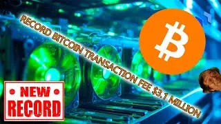 CRYPTOSTOCK DAILY NEWS! RECORD BITCOIN TRANSACTION FEE $3.1 MILLION!