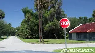 Webster Florida