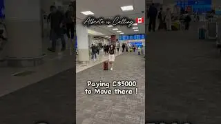 Alberta is calling ! Paying C$5000 to move there 🤑| ZESTE IMMIGRATION #albertajobs #shorts