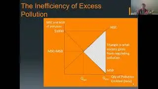Intro to Externalities- Pollution Lecture