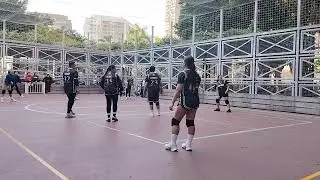 Basic vs Vipers