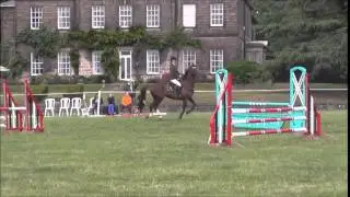 Evita SH - Frickley Park horse trials - British Novice - 26/07/15