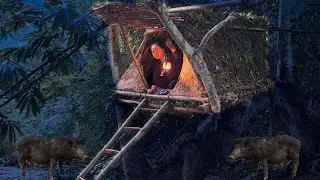 CEO challenges camping overnight in the deep forest to avoid wild animals