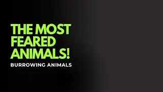World of Burrowing Animals