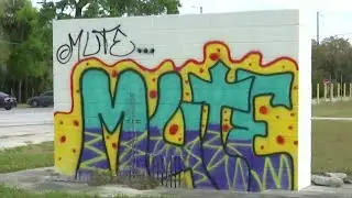 Who is the Leesburg graffiti artist known as Mute?