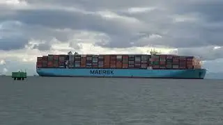 Worlds Biggest Container Ship, Planes, Tankers, Dolphins Occurs in 1 Hour at Strait of Gibraltar