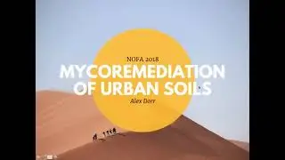 Mycoremediation of Urban Soils with Alex Dorr (Inspiring Ideas from Experts in the Field series)