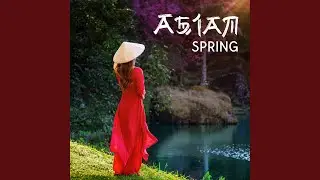 Spring Lounge