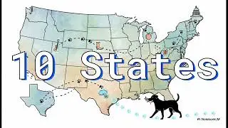 The Story of Aloka: The Peace Dog of the Peace Walk USA