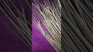 COMMENT D&Eacute;SENVOUTER VOTRE MARI QUI EST SOUS LE CHARME D'UNE AUTRES FEMME #pheonix