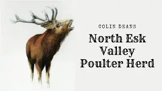 The Poulter Herd Colin Deans; Studleigh Range, North Esk Valley 1932