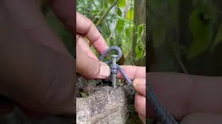 Simple Formula to tie Brilliant Knots