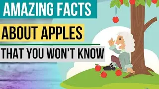TOP FUN FACTS ABOUT APPLES | What Is Unique About Apple Fruit?