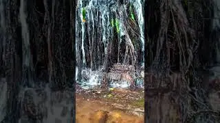 Beautiful Waterfall in Sri Lanka | ශ්&zwj;රී ලංකාවේ සුන්දර දිය ඇල්ලක්#SriLanka #Waterfall #Nature#Travel