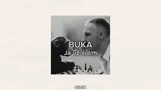 BUKA - Já už vidím [ REMIX ]
