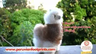 ALPACA Handmade Soft Toys 9