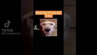 butter dog, dog with the butter.