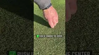 The Right way to Fix a Pitch Mark #shorts