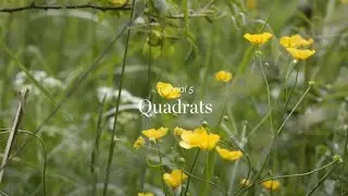 Wild Things - Tutorial 5 - Quadrats