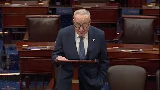 Chuck Schumer: 'Does Donald Trump need a copy of the Constitution?'